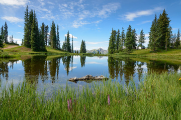 Fototapeta na wymiar Summer Mountain Pond