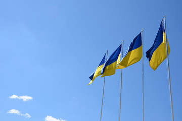 Ukrainian flags in the wind on blue sky background