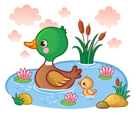 Naklejki  Po jeziorze pływa kaczka z kaczuszkami. Ilustracja wektorowa z ptakami. Obraz w stylu kreskówki dla dzieci.