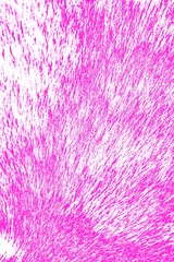 Explosion of colored powder on white background ,Freeze motion of color powder exploding/throwing color powder, multicolored glitter texture.