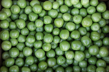 A box of Greengage plums fruits for sale in a vegetable shop.