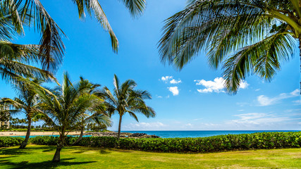 Obraz premium Palm trees swaying in the wind under blue sky at Ko Olina on the West Coast of the Hawaiian island of Oahu
