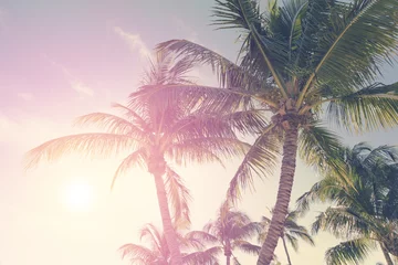 Photo sur Plexiglas Palmier Tropical landscape with palm trees and sunny sky 