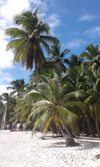 Republica Dominicana