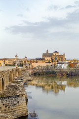 view of Cordoba with Mosque Cathedral, Spain