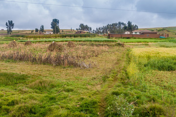 Rural landscape near Cuzco, Peru