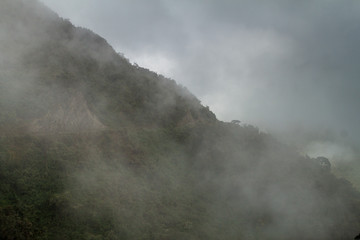 Misty jungle in mountains under Abra Malaga pass, Peru