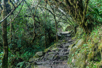 Fototapeta premium Steep trail leading to Machu Picchu mountain, Peru