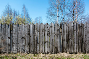 Obraz premium Unpainted an old gray wooden fence