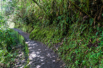 Narrow Inca trail near Machu Picchu ruins, Peru.