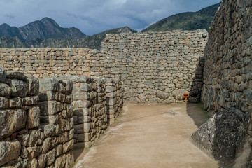 Preserved buildings at Machu Picchu ruins, Peru