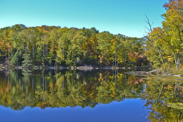 Fall Reflections 2