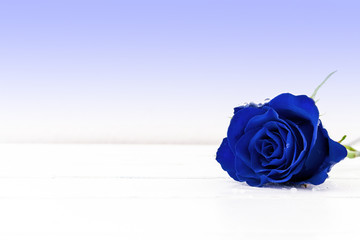 eine blaue rose auf einem holztisch