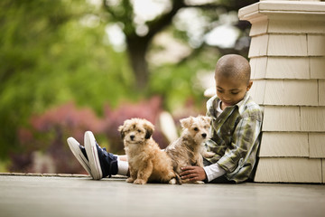 Portrait of a boy sitting on a porch with two puppies.