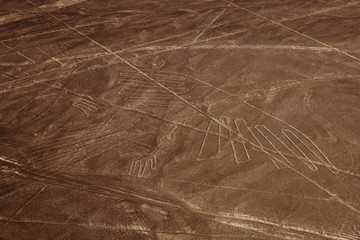 ナスカの地上絵