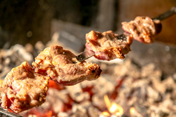 Shish kebab roasting over the red coals on the grill, barbecue.