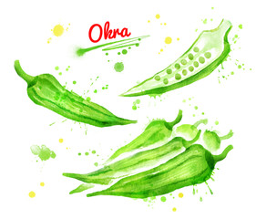 Watercolor of illustrations of okra