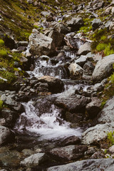 Stream trickling down lush green mountainside