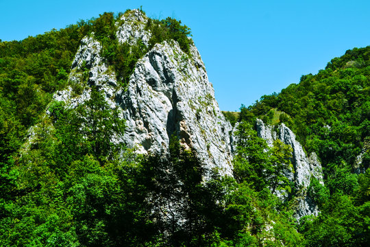 Padure Munte