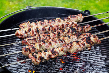 meat kebab skewers
