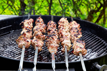 meat kebab skewers