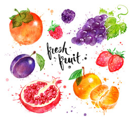 Hand painted watercolor of fruit