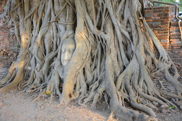 Temple in Ayutthaya