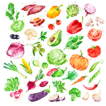 Watercolor illustration set of vegetables 