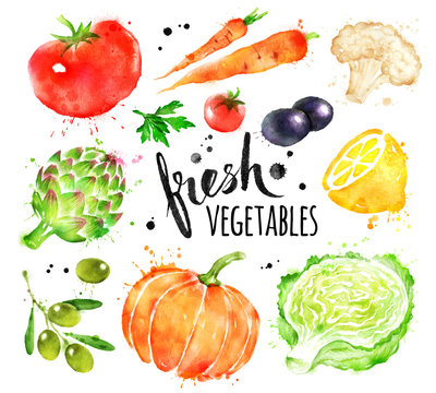 Watercolor set of fresh vegetables