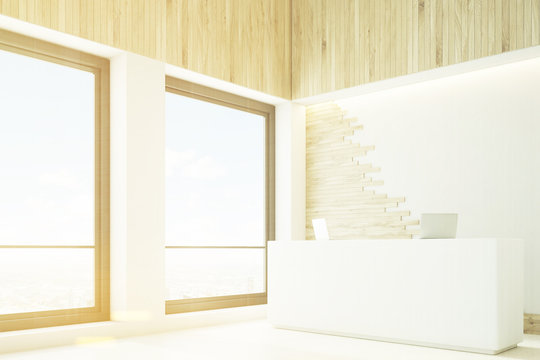 Light wood reception, two windows, toned