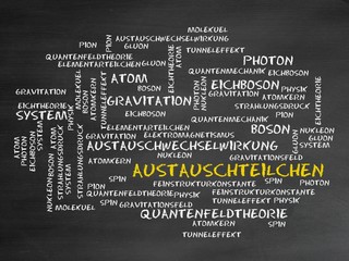 Austauschteilchen