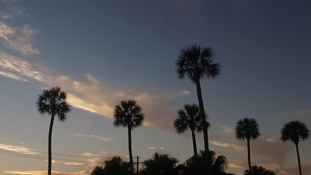 corvette driving with girl