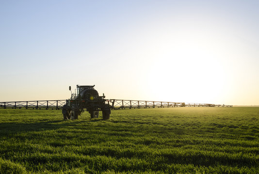 Tractor on the sunset background. Tractor with high wheels is making fertilizer on young wheat. The use of finely dispersed spray chemicals