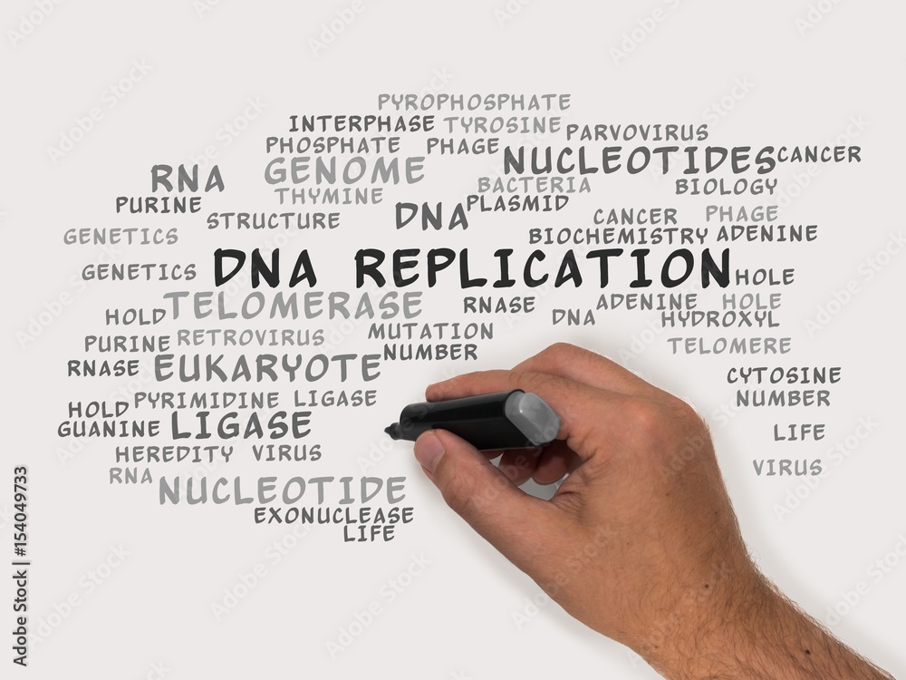 Canvas Prints DNA replication