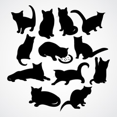 cats and kittens silhouettes with different poses and actions