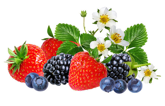 strawberry,blackberry, bilberry, blueberries isolated on white