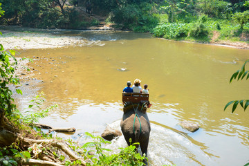 Maesa Elephant Camp in Chiang Mai, Thailand	