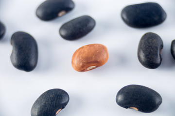  Macro image of a brown bean and many black beans surrounding in isolated on white background