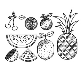 monochrome silhouette with set of tropical fruits vector illustration
