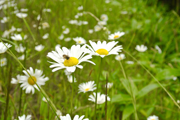 北海道弟子屈町　屈斜路湖　lake kussharo