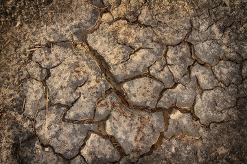 Cracked, dried earth