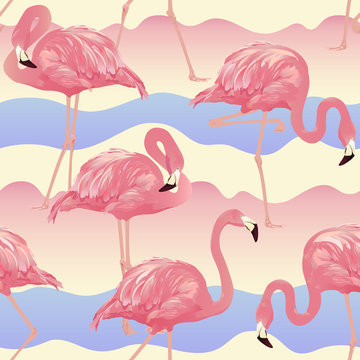 Tropical Bird Flamingo Background - Seamless pattern vector