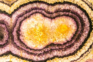 Detail of druse with orange and purple minerals