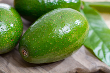Green ripe avocado from organic avocado plantation - healthy food