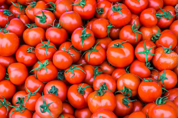 group of red ripe tomatoes