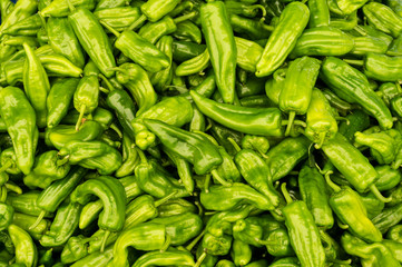 green peper chili. background