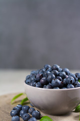 Freshly picked juicy blueberries with green leaves on rustic table. Bilberry on wooden Background. Blueberry antioxidant. Concept for healthy eating and nutrition