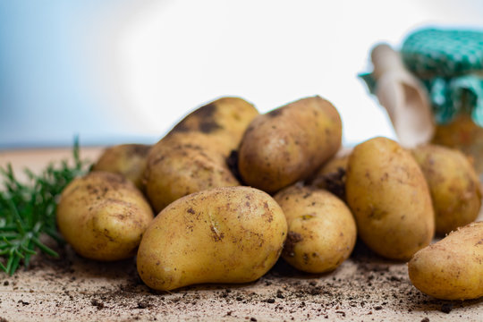 New harvest - young raw organic potatoes uncooked