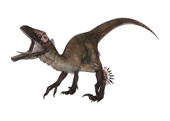 3D Rendering Dinosaur Utahraptor on White