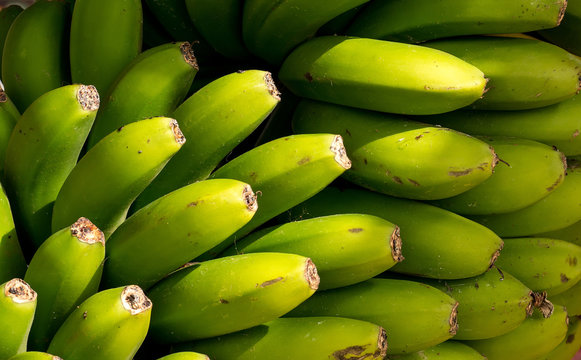 Kanarische Bananen